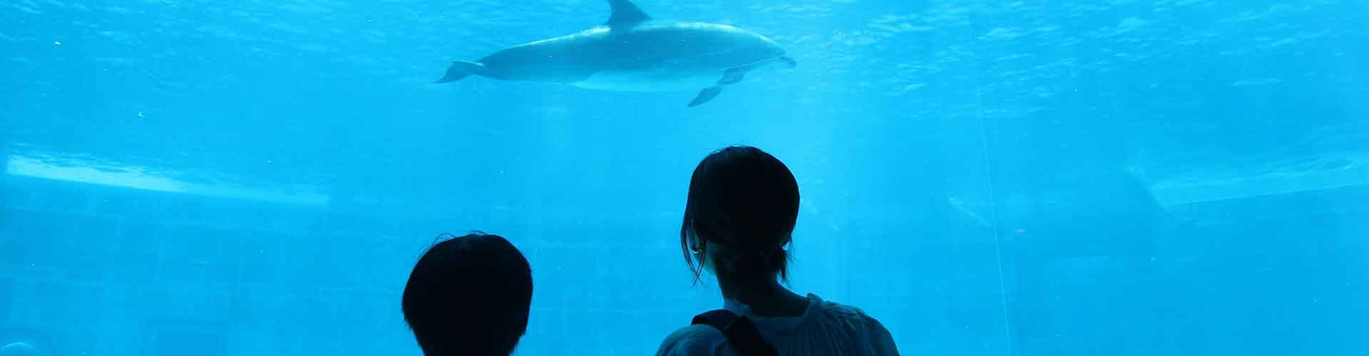 【名古屋港水族館】親子で１日楽しみつくす！　見どころを紹介